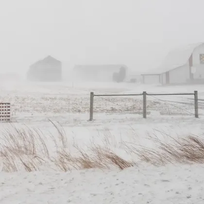 Зимна стихия обхваща САЩ: Сняг, лед и арктически студ в 23 щата