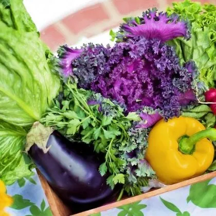 Внасяме 9 пъти повече зеленчуци, отколкото изнасяме