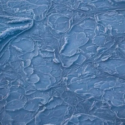 Зимна буря ще обхване голяма част от САЩ през уикенда