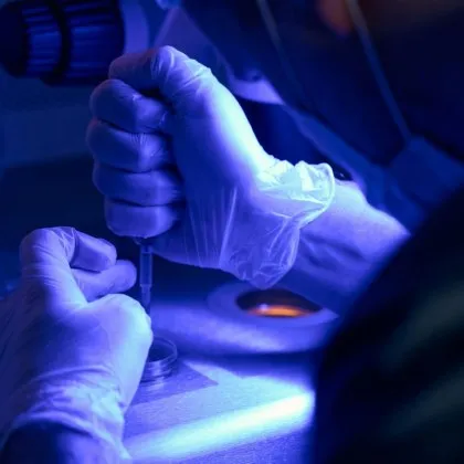 Учени може би са открили начин за подмладяване на имунната