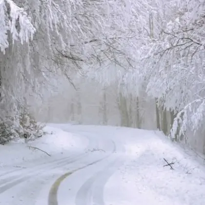 Последните дни на януари и първите 10 на февруари ще