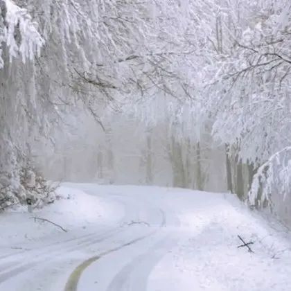 Пожарникари помогнаха на жена закъсала с автомобила си на път III 662