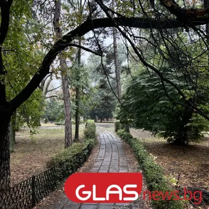 През деня преди обяд ще има разкъсана облачност временно намаляваща