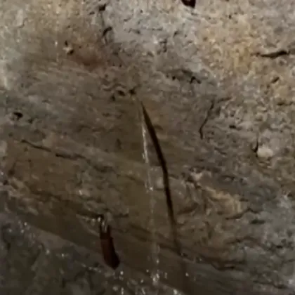 Гореща вода подкопава блок в София: Хората чакат ремонт от седмици