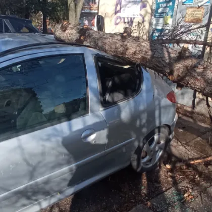 Жителка на столичния квартал Борово сигнализира за сериозни щети по