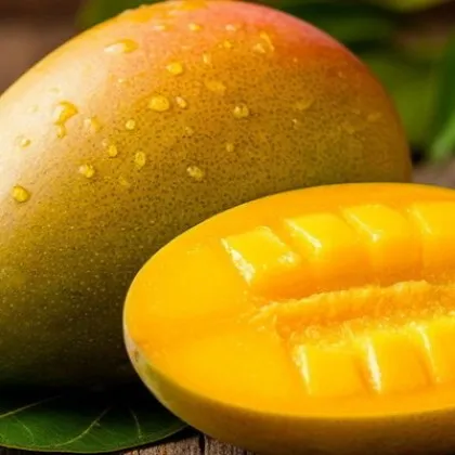 Смъртоносният вирус Нипах може да се предава чрез манго Според