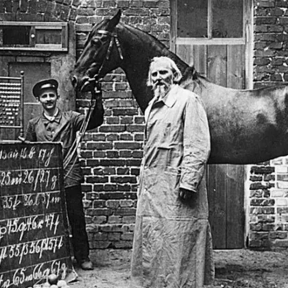 &bdquo;Умният Ханс" - конят, който заблуди учените