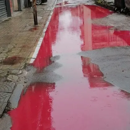 Една необичайна локва с червен цвят хвърли пловдивчани в смут В