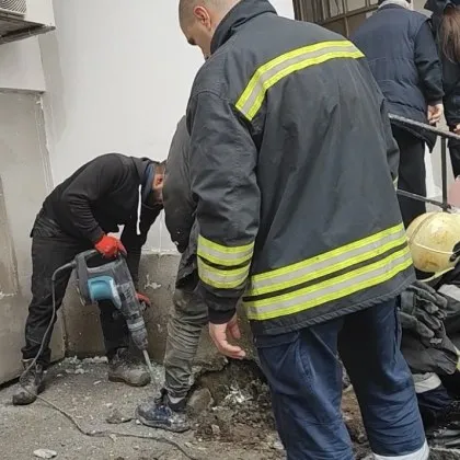 Строители зазидаха живо коте в Бургас