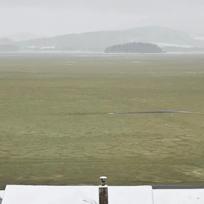 В Чехия ледът на замръзнало езеро неочаквано стана изумрудено зелен давайки