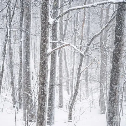 Още от сутринта днес от югозапад ще започнат валежи от