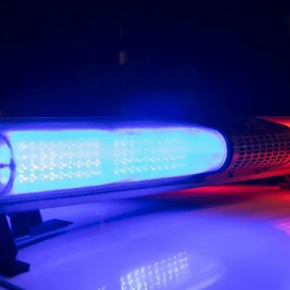 Полицейска акция в парк "Заимов" в София: 20 задържани за вандализъм