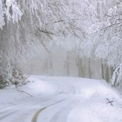 Началото на седмицата започва с жълт код за студ и