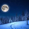 Снежната Луна идва: какво да не правим в нощта на 1 срещу 2 февруари