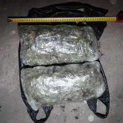 Разбиха схема за държане и разпространение на наркотици при специализирана