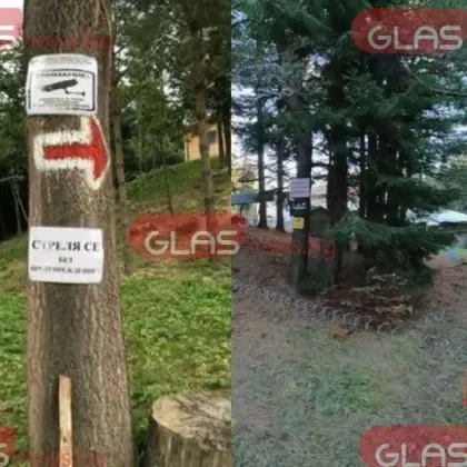 Мистерията "Петрохан": Разкриха какво пише в сигнала за 8-годишния Л.