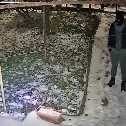 Маскирани мъже откраднаха дървен топ от двор в Добрич СНИМКИ