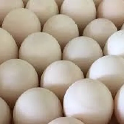 Кокоши яйца без документи и превозвани нерегламентирано на територията на