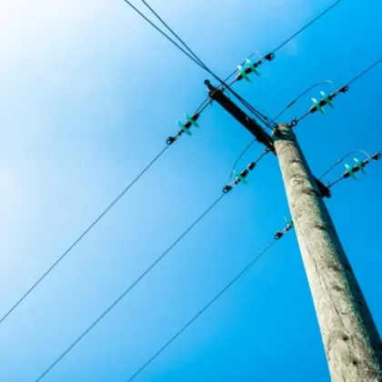 Ток от уличен стълб удари куче в София - стопанката алармира за опасност