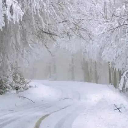 Новата седмица идва с временно застудяване и валежи от дъжд