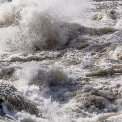 Откриха мъртви мигранти край Марица