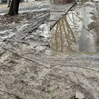 С болезнена публикация в социалните мрежи пловдивчанка алармира за серия