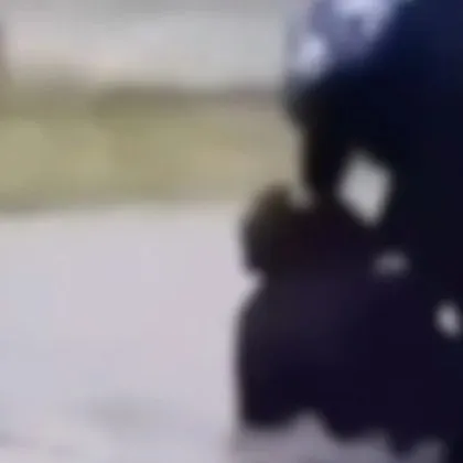 Стана ясно кой е 17 годишният Петко който смля от бой