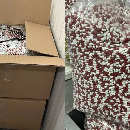 Полицейска акция разкри незаконно производство на медикаменти в асеновградското село