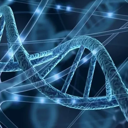 Гените ли решават колко ще живеем? Ново изследване пренаписва представите за дълголетието