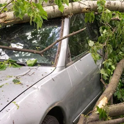 Клон се стовари върху автомобил в София