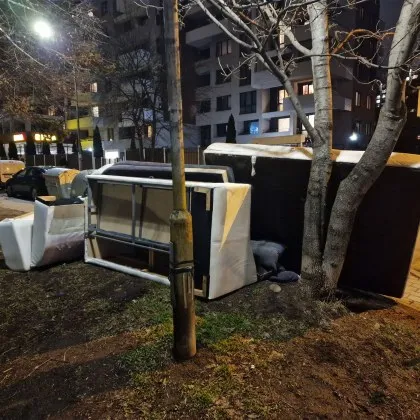 "Скулптура" грабна вниманието на столичани СНИМКИ