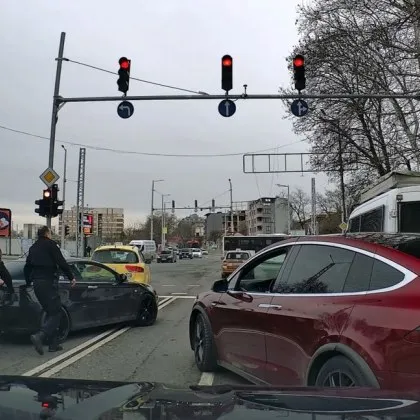 В иначе сивия и мрачен февруарски ден една снимка от