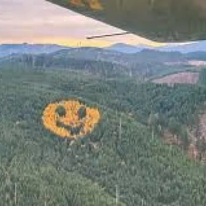 Ако пътувате по магистрала 18 в щата Орегон САЩ —