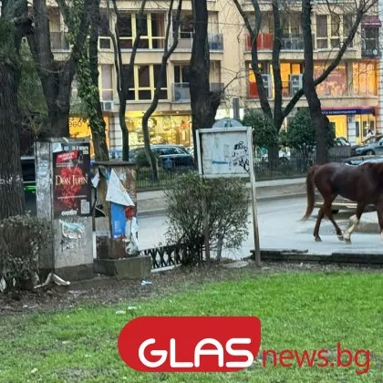 Конче излезе на разходка из Пловдив, пое към Марица СНИМКИ