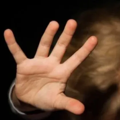 Изслушването в парламента на компетентните органи по повод видеоклип разкриващ