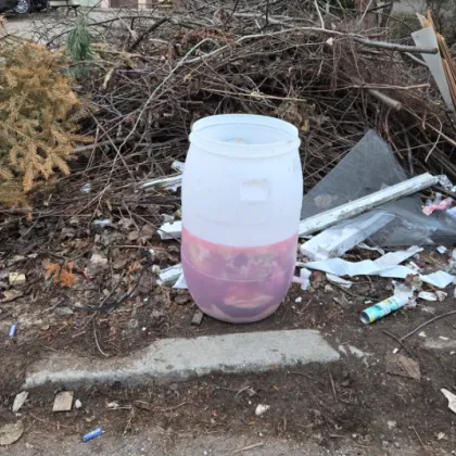 Необичайна гледка изуми жители на столицата след като до контейнери