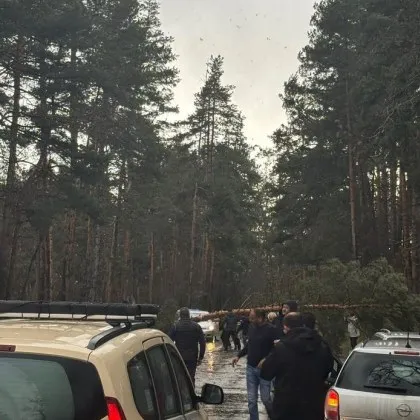 Инцидент затрудни временно движението по пътя София Самоков този