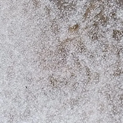 Прогнозите за бурно време на синоптиците се оправдаха Докато валежи