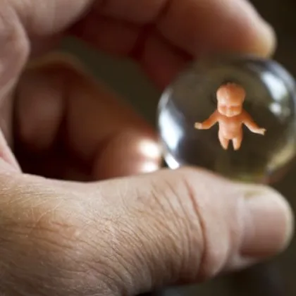 На всеки три раждания в Пловдивска област през изминалата година