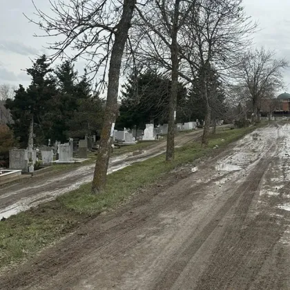 "Гробищата приличат на кочина": възмущение на Месопустна задушница СНИМКИ