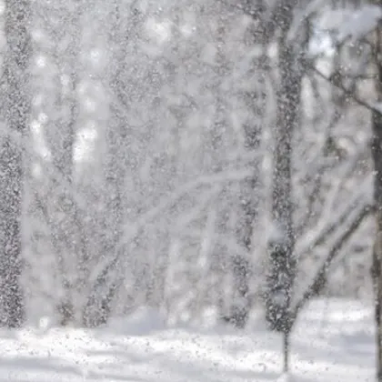 Обявиха оранжев код за обилни валежи от дъжд и сняг