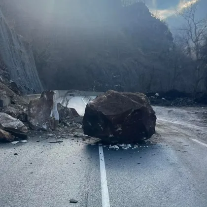 Шофьор преминаващ по пътя между Девин и Кричим сигнализира за