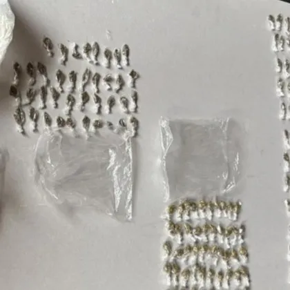 Полицейската операция за пресичане на престъпленията с наркотици на територията