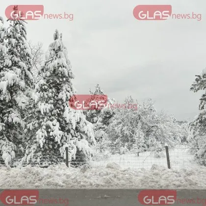 Задръствания и закъсали автомобили на прохода Петрохан заради снеговалежът За