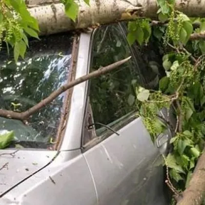 Обявиха оранжев и жълт код за опасен вятър в цяла България