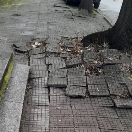 Разбит и опасен тротоар в Пловдив предизвика остро недоволство сред
