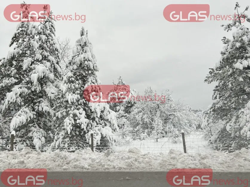 Непочистен и задръстен: Шофьори в адски мъки на прохода Петрохан СНИМКИ