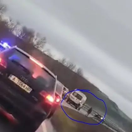 Кон предизвика хаос на ключов път, намесиха се полицаи и граждани ВИДЕО