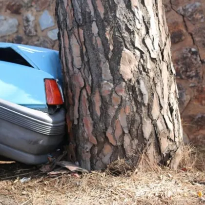 Шофьор загина намясто след удар в дърво край село Методиево