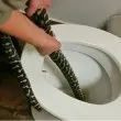 Огромен питон &bdquo;резервира" обществена тоалетна в Австралия ВИДЕО